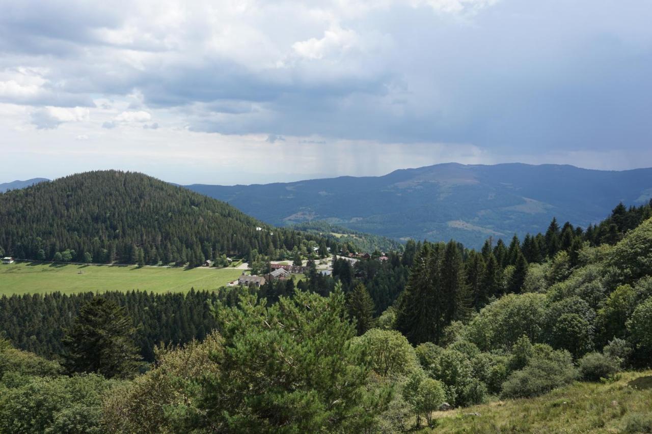 Bed and Breakfast Le Schallern Muhlbach-sur-Munster Exterior foto